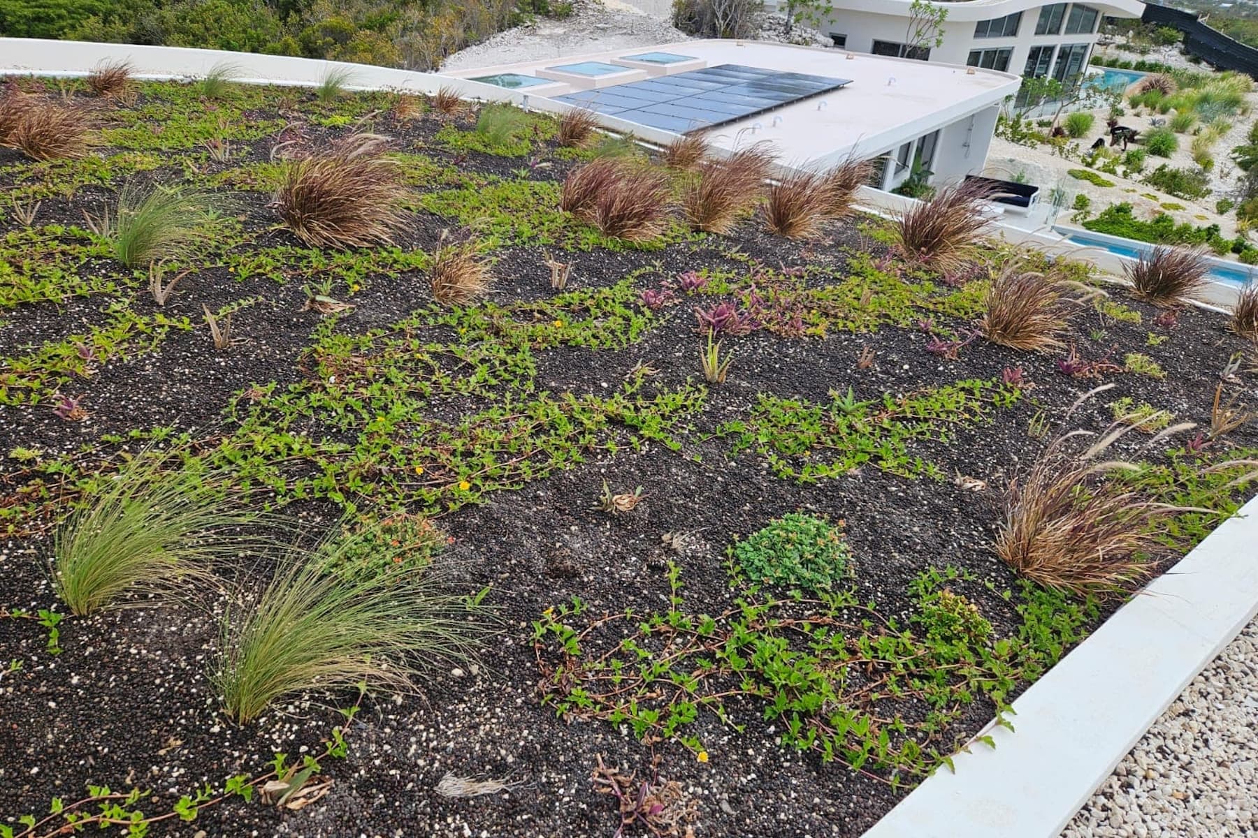 Summit-Roofs-1